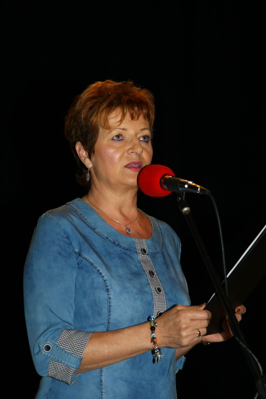 Fotogaléria Krajská prehliadka DFS 2013 (41) Krajská prehliadka DFS 2013